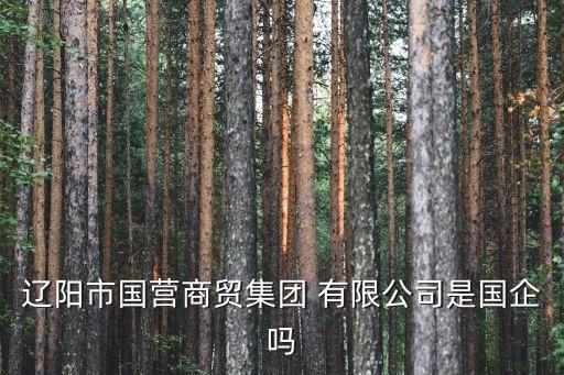 天津市新航線貿易有限公司,廈門薪航線化工貿易有限公司