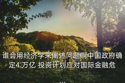 誰(shuí)會(huì)用經(jīng)濟(jì)學(xué)來(lái)闡述問(wèn)題啊中國(guó)政府確定4 萬(wàn)億 投資計(jì)劃應(yīng)對(duì)國(guó)際金融危...