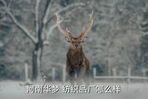 中銀紡織品有限責任公司,廣西中銀會計師事務所有限責任公司
