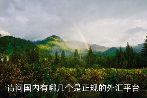 請問國內(nèi)有哪幾個(gè)是正規(guī)的外匯平臺