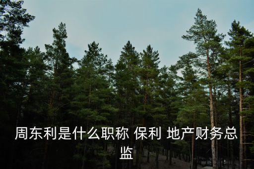 周東利是什么職稱(chēng) 保利 地產(chǎn)財(cái)務(wù)總監(jiān)