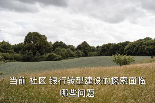 當前 社區(qū) 銀行轉(zhuǎn)型建設(shè)的探索面臨哪些問題