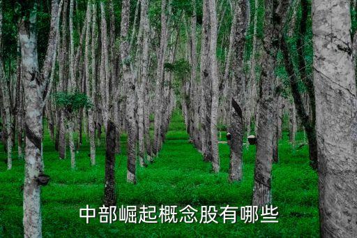 中部崛起概念股有哪些