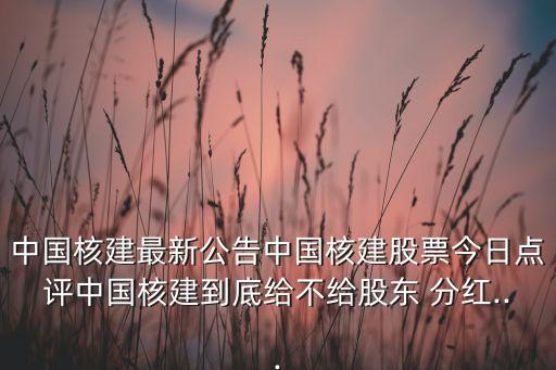 中國核建最新公告中國核建股票今日點(diǎn)評(píng)中國核建到底給不給股東 分紅...