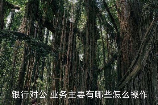  銀行對(duì)公 業(yè)務(wù)主要有哪些怎么操作