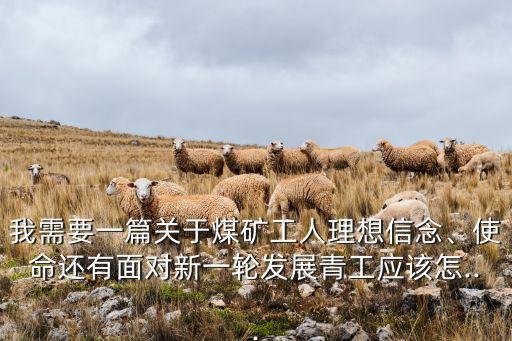 我需要一篇關(guān)于煤礦工人理想信念、使命還有面對新一輪發(fā)展青工應(yīng)該怎...