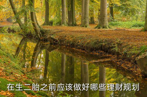在生二胎之前應(yīng)該做好哪些理財(cái)規(guī)劃