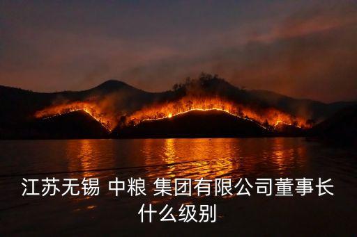 江蘇無錫 中糧 集團(tuán)有限公司董事長(zhǎng)什么級(jí)別