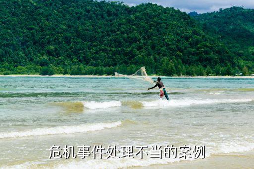 危機事件處理不當(dāng)?shù)陌咐? class=