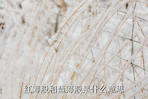 紅籌股和藍(lán)籌股是什么意思