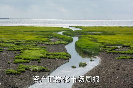 資產(chǎn)證券化市場(chǎng)周報(bào)