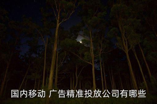 國內(nèi)移動 廣告精準(zhǔn)投放公司有哪些