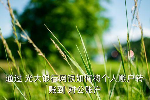 通過 光大銀行網(wǎng)銀如何將個人賬戶轉賬到 對公賬戶