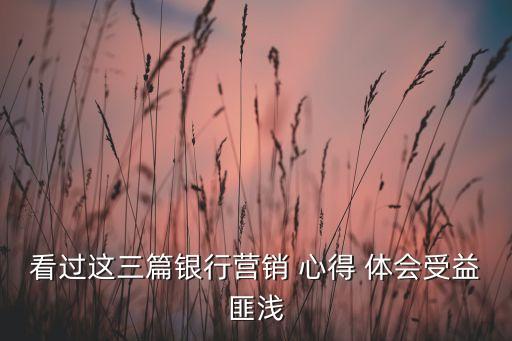 看過(guò)這三篇銀行營(yíng)銷 心得 體會(huì)受益匪淺