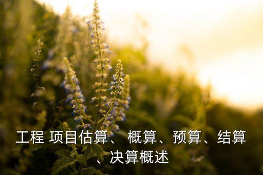 工程 項(xiàng)目估算、 概算、預(yù)算、結(jié)算、決算概述