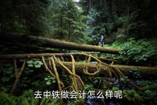江鈴集團(tuán)財務(wù)總會計師