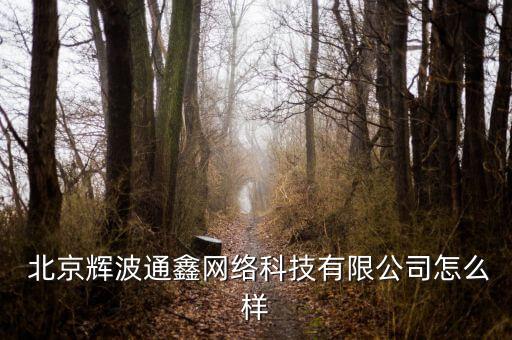  北京輝波通鑫網絡科技有限公司怎么樣