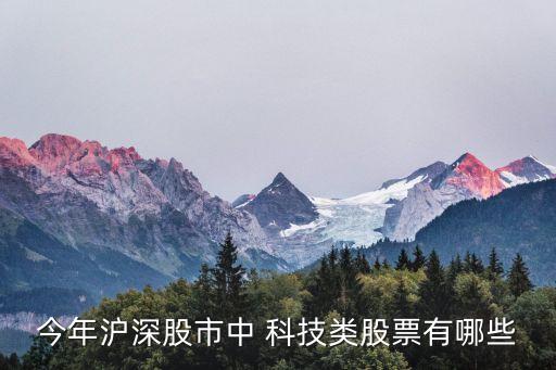 今年滬深股市中 科技類(lèi)股票有哪些