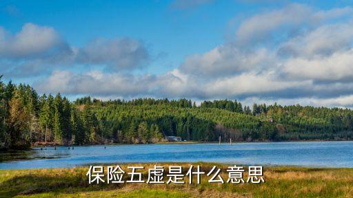 保險公司虛掛業(yè)務(wù)