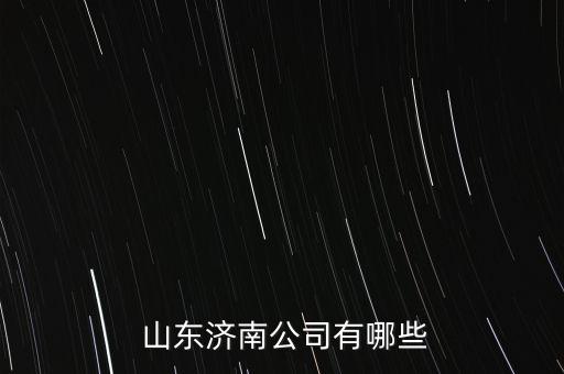  山東濟(jì)南公司有哪些