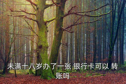 未滿十八歲辦了一張 銀行卡可以 轉賬嗎