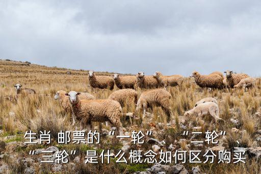  生肖 郵票的“一輪”、“二輪”、“ 三輪”是什么概念如何區(qū)分購(gòu)買