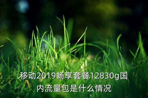 移動2019暢享套餐12830g國內(nèi)流量包是什么情況