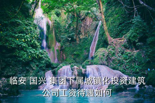 臨安 國(guó)興 集團(tuán)下屬城鎮(zhèn)化投資建筑公司工資待遇如何