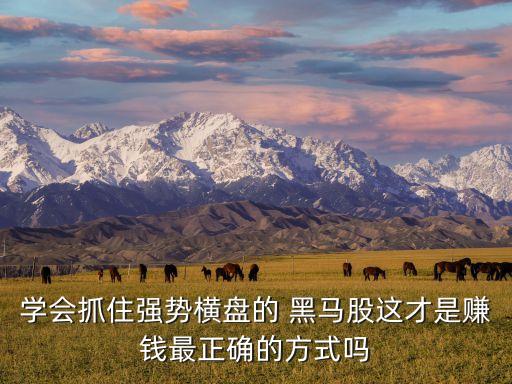學(xué)會抓住強(qiáng)勢橫盤的 黑馬股這才是賺錢最正確的方式嗎