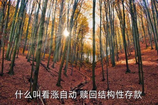 什么叫看漲自動 贖回結構性存款
