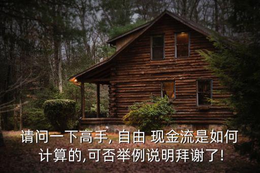 請問一下高手, 自由 現(xiàn)金流是如何 計(jì)算的,可否舉例說明拜謝了!