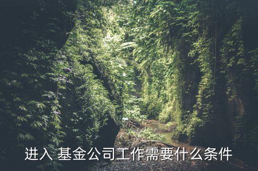 進入 基金公司工作需要什么條件