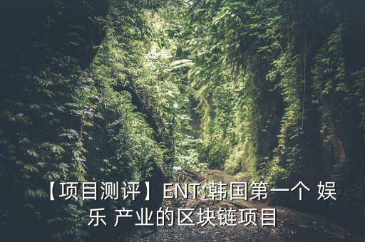 【項目測評】ENT:韓國第一個 娛樂 產(chǎn)業(yè)的區(qū)塊鏈項目