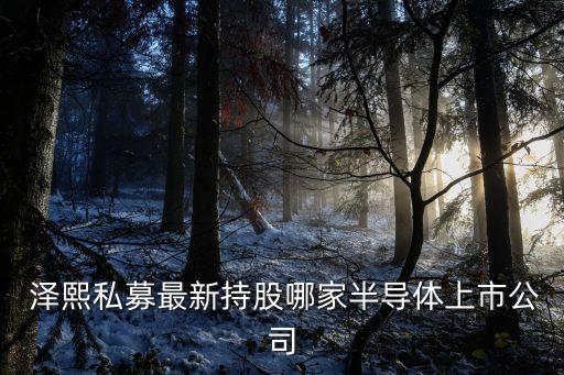  澤熙私募最新持股哪家半導體上市公司