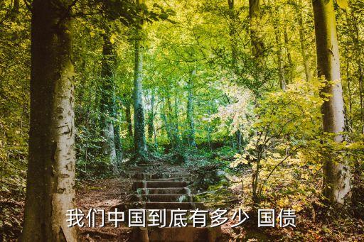 我們中國到底有多少 國債
