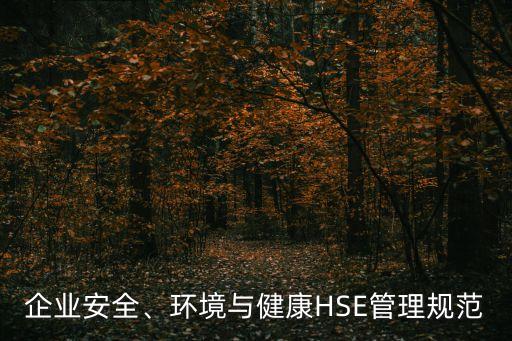 企業(yè)安全、環(huán)境與健康HSE管理規(guī)范