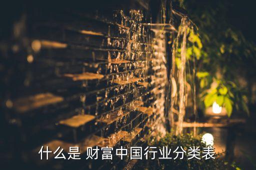 什么是 財(cái)富中國行業(yè)分類表