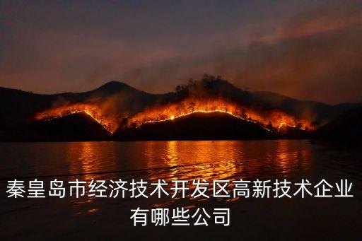 秦皇島市經(jīng)濟技術開發(fā)區(qū)高新技術企業(yè)有哪些公司
