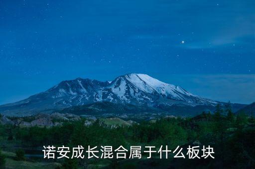  諾安成長(zhǎng)混合屬于什么板塊