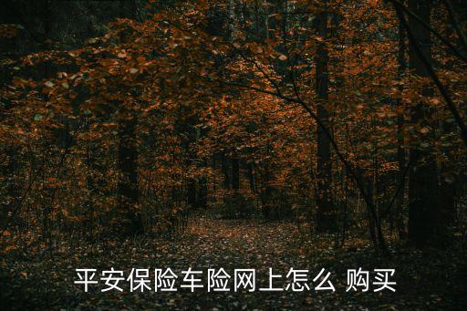  平安保險(xiǎn)車(chē)險(xiǎn)網(wǎng)上怎么 購(gòu)買(mǎi)