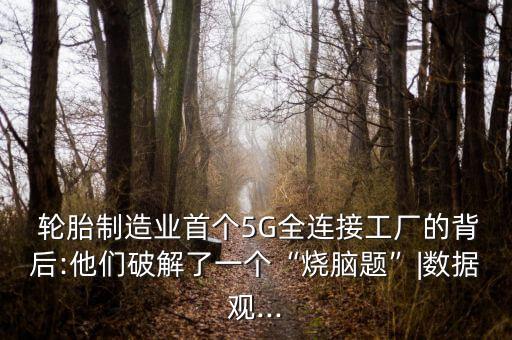  輪胎制造業(yè)首個5G全連接工廠的背后:他們破解了一個“燒腦題”|數(shù)據(jù)觀...