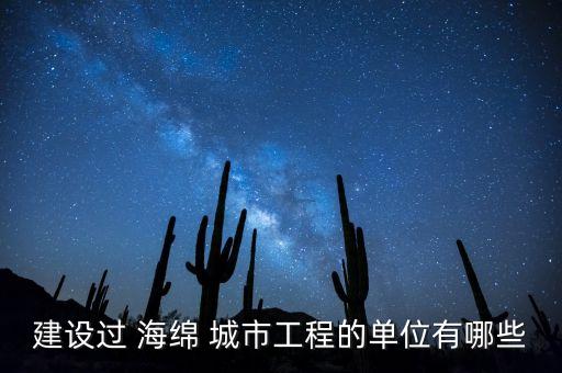建設過 海綿 城市工程的單位有哪些