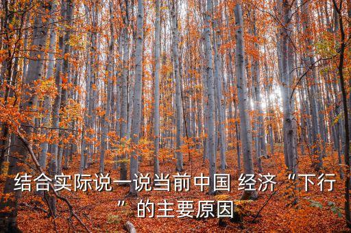 結(jié)合實(shí)際說(shuō)一說(shuō)當(dāng)前中國(guó) 經(jīng)濟(jì)“下行”的主要原因