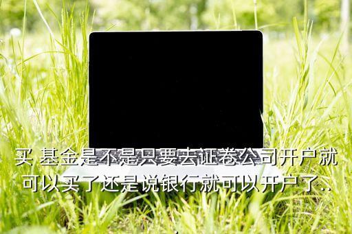 基金只能買(mǎi)政券么