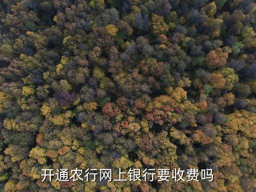 農業(yè)銀行網(wǎng)銀要年費嗎
