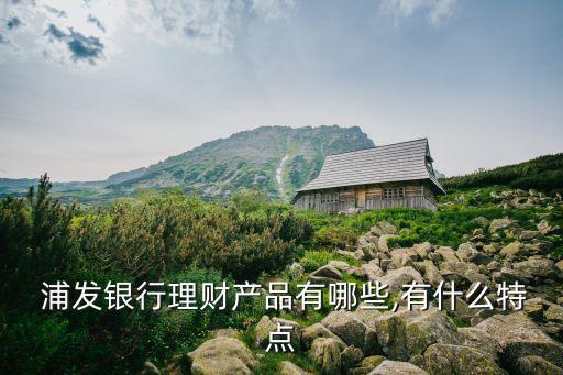  浦發(fā)銀行理財產品有哪些,有什么特點