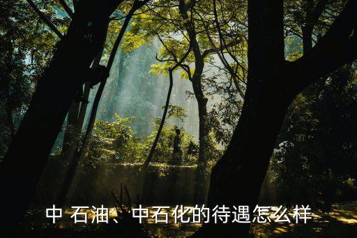 中 石油、中石化的待遇怎么樣