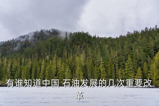 有誰知道中國(guó) 石油發(fā)展的幾次重要改革