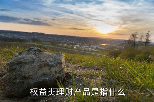 基金權益類產(chǎn)品,權益類基金是指什么