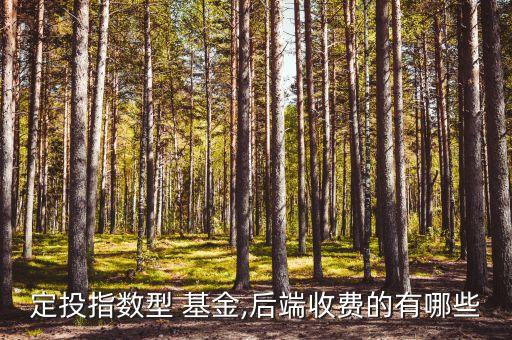 定投指數型 基金,后端收費的有哪些